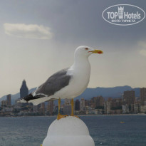 фото из отзыва ID 976012