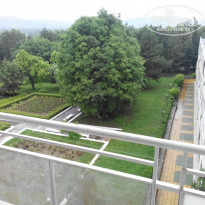 фото из отзыва ID 977028