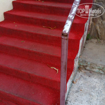 фото из отзыва ID 977195