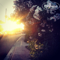 фото из отзыва ID 977280