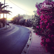 фото из отзыва ID 977280