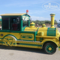 фото из отзыва ID 977280