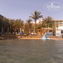 фото из отзыва ID 977313