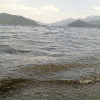 фото из отзыва ID 977426