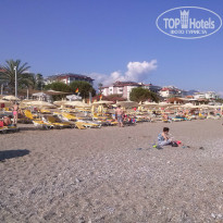 фото из отзыва ID 977456