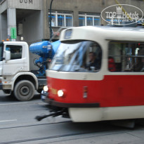 фото из отзыва ID 977474