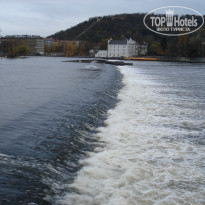 фото из отзыва ID 977474