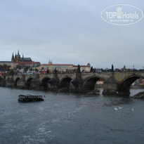 фото из отзыва ID 977474