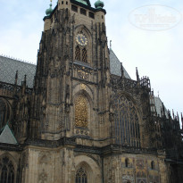 фото из отзыва ID 977474