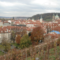 фото из отзыва ID 977474