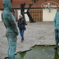 фото из отзыва ID 977474