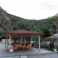 фото из отзыва ID 977521