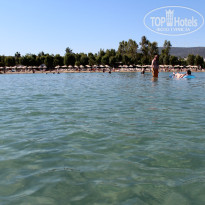 фото из отзыва ID 977549