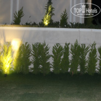 фото из отзыва ID 977549