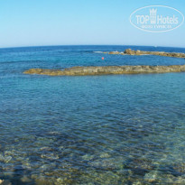 фото из отзыва ID 977756