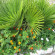 фото из отзыва ID 977789