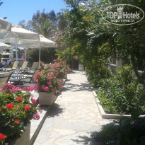 фото из отзыва ID 977794