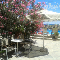 фото из отзыва ID 977794