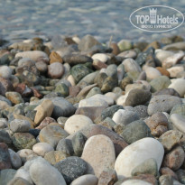 фото из отзыва ID 977885