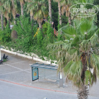 фото из отзыва ID 977885