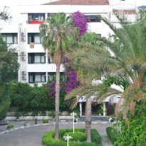 фото из отзыва ID 977885