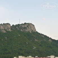 фото из отзыва ID 977885