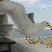 фото из отзыва ID 977896