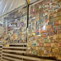 фото из отзыва ID 977941