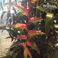 фото из отзыва ID 977941