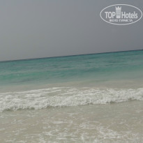 фото из отзыва ID 977984