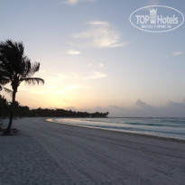 фото из отзыва ID 977984