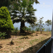 фото из отзыва ID 977876