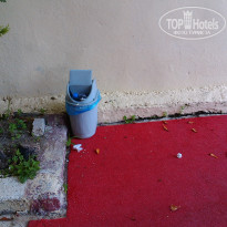 фото из отзыва ID 977195