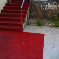 фото из отзыва ID 977195