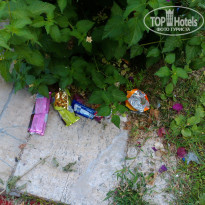 фото из отзыва ID 977195