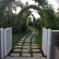 фото из отзыва ID 978042