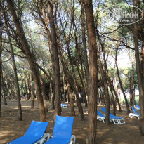 фото из отзыва ID 978120