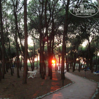 фото из отзыва ID 978120