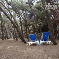 фото из отзыва ID 978120