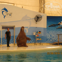 фото из отзыва ID 978297