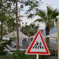 фото из отзыва ID 978346