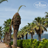 фото из отзыва ID 978346