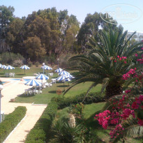 фото из отзыва ID 978347