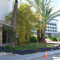 фото из отзыва ID 978371