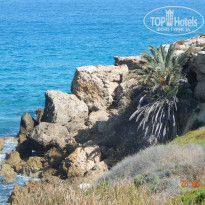 фото из отзыва ID 978469