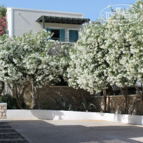 фото из отзыва ID 978589