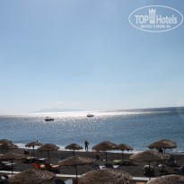 фото из отзыва ID 978589