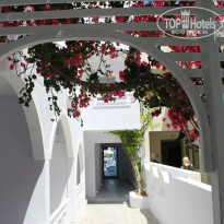 фото из отзыва ID 978589