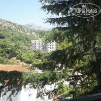 фото из отзыва ID 978776