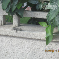 фото из отзыва ID 978954